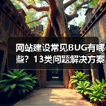 网站建设常见BUG有哪些？13类问题解决方案（图3）