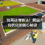 别再迷信算法！网站内容优化的核心秘诀（图4）