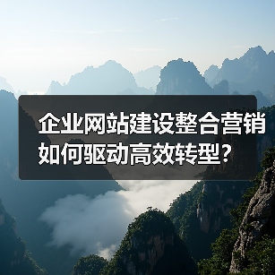 企业网站建设整合营销如何驱动高效转型？（图2）