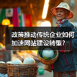 政策推动传统企业如何加速网站建设转型？