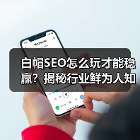白帽SEO怎么玩才能稳赢？揭秘行业鲜为人知的黄金法则（图2）