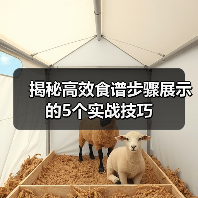 揭秘高效食谱步骤展示的5个实战技巧（图3）