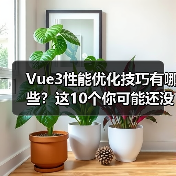 Vue3性能优化技巧有哪些？这10个你可能还没用上（图2）