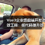 Vue3企业级前端开发高效工具：低代码提升效率（图4）