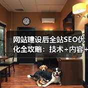 网站建设后全站SEO优化全攻略：技术+内容+体验三步走（图4）