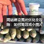 网站建设图片优化全攻略：如何高效减小图片体积？（图4）