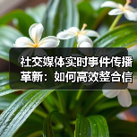 社交媒体实时事件传播革新：如何高效整合信息？（图3）