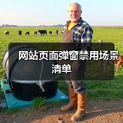网站页面弹窗禁用场景清单（图4）