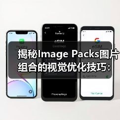 揭秘Image Packs图片组合的视觉优化技巧：提升搜索排名与转化率（图3）