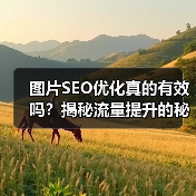 图片SEO优化真的有效吗？揭秘流量提升的秘密（图4）