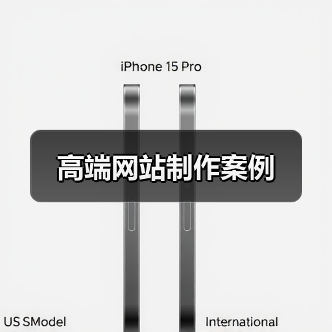 高端网站制作案例（图2）