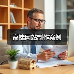 高端网站制作案例（图4）