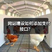 网站建设如何添加支付接口？