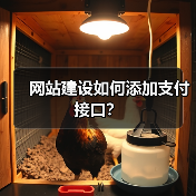 网站建设如何添加支付接口？（图2）