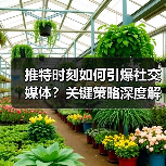 推特时刻如何引爆社交媒体？关键策略深度解析（图3）