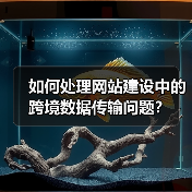如何处理网站建设中的跨境数据传输问题？