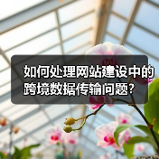 如何处理网站建设中的跨境数据传输问题？（图3）