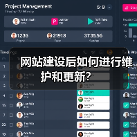 网站建设后如何进行维护和更新？（图2）