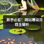 新手必看！网站建设流程全解析（图3）