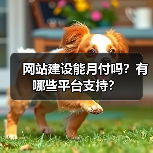 网站建设能月付吗？有哪些平台支持？（图3）