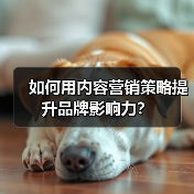 如何用内容营销策略提升品牌影响力？