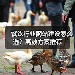 餐饮行业网站建设怎么选？高效方案推荐（图4）