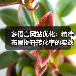多语言网站优化：精准布局提升转化率的实战策略