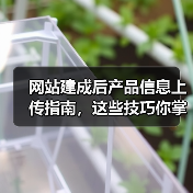 网站建成后产品信息上传指南，这些技巧你掌握了吗？