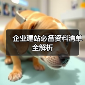 企业建站必备资料清单全解析