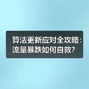 算法更新应对全攻略：流量暴跌如何自救？（图2）