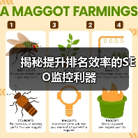 揭秘提升排名效率的SEO监控利器（图2）