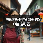 揭秘提升排名效率的SEO监控利器
