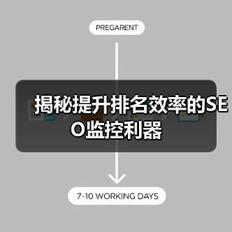 揭秘提升排名效率的SEO监控利器（图4）