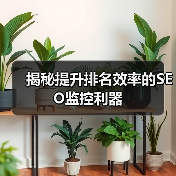 揭秘提升排名效率的SEO监控利器（图3）