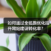 如何通过全链路优化提升网站建设转化率？（图3）