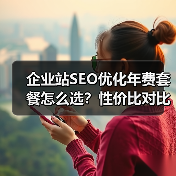 企业站SEO优化年费套餐怎么选？性价比对比全解析（图2）