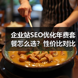 企业站SEO优化年费套餐怎么选？性价比对比全解析