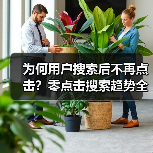 为何用户搜索后不再点击？零点击搜索趋势全解析