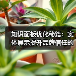 知识面板优化秘籍：实体展示提升品牌信任的关键（图2）