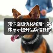 知识面板优化秘籍：实体展示提升品牌信任的关键（图3）