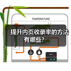 提升内页收录率的方法有哪些？（图4）