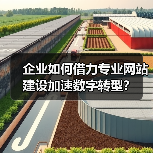 企业如何借力专业网站建设加速数字转型？（图2）