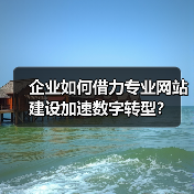 企业如何借力专业网站建设加速数字转型？（图3）