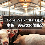 Core Web Vitals变革来袭：关键优化策略全解析（图4）