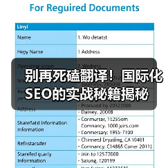 别再死磕翻译！国际化SEO的实战秘籍揭秘（图2）