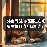 外贸网站如何通过定期更新提升内容吸引力？（图4）