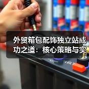 外贸箱包配饰独立站成功之道：核心策略与实操指南（图2）