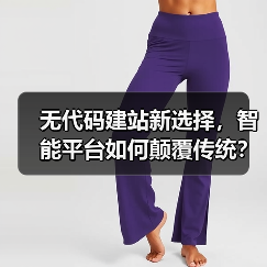 无代码建站新选择，智能平台如何颠覆传统？（图3）