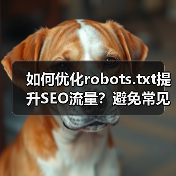如何优化robots.txt提升SEO流量？避免常见错误的实战指南（图3）