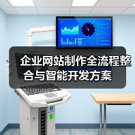 企业网站制作全流程整合与智能开发方案（图3）